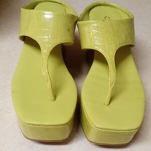 Elegant Lime Women's Platform Sandals